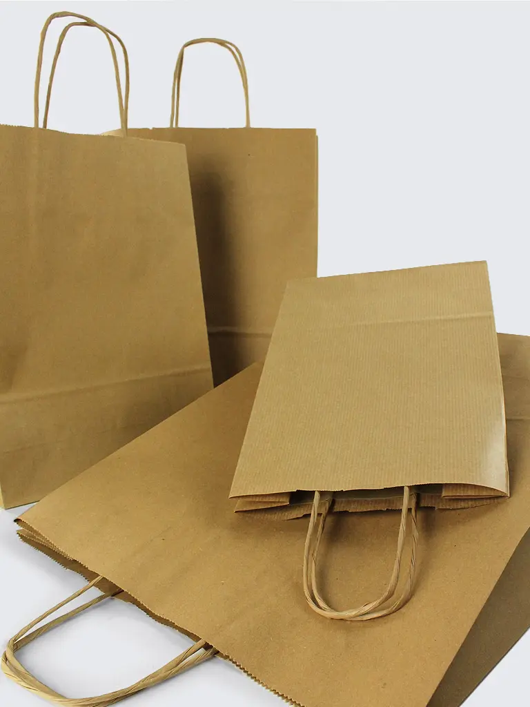 KRAFT PAPER BAG WITH HANDLE - LARGE 