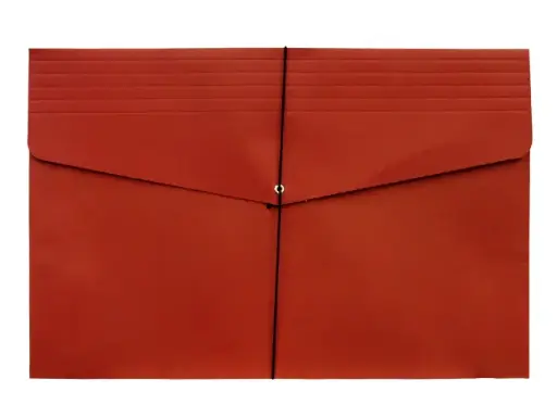 EXPANDABLE ENVELOPE MINI